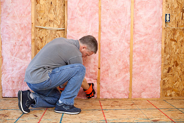 Types of Insulation We Offer in NV